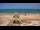 Webcam in Daytona Beach, Florida, 31 km