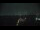 Webcam in Fort Myers, Florida, 12.4 km entfernt