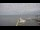 Webcam in Fort Myers, Florida, 1.3 km
