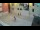 Webcam in Novaglia (Pago), 23.6 km