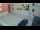 Webcam in Pag - Novalja, 3.4 km