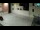 Webcam in Novalja (Pag), 5.3 km