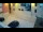 Webcam in Novalja (Pag), 0.2 km entfernt