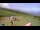Webcam in Saint-Leu, 48.7 km