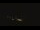 Webcam in Wooster, Ohio, 18.4 mi away