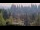 Webcam in Bellevue, Washington, 42.1 mi away
