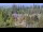 Webcam in Bellevue, Washington, 4.5 mi away