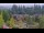 Webcam in Bellevue, Washington, 43.6 km