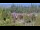 Webcam in Bellevue, Washington, 31.8 mi away