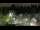 Webcam in Bellevue, Washington, 42.2 km entfernt