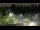 Webcam in Bellevue, Washington, 16.6 km