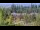 Webcam in Bellevue, Washington, 18.4 km