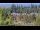 Webcam in Bellevue, Washington, 4.5 mi away