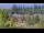 Webcam in Bellevue, Washington, 31.8 mi away