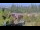 Webcam in Bellevue, Washington, 55.7 mi away