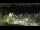 Webcam in Bellevue, Washington, 14.3 mi away