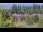 Webcam in Bellevue, Washington, 14.3 mi away