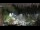 Webcam in Bellevue, Washington, 18.4 km entfernt