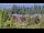 Webcam in Bellevue, Washington, 82.5 km