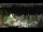 Webcam in Bellevue, Washington, 14.3 mi away