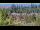 Webcam in Bellevue, Washington, 42.1 mi away