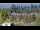 Webcam in Bellevue, Washington, 144.4 km entfernt