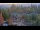 Webcam in Bellevue, Washington, 130.8 km