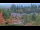 Webcam in Bellevue, Washington, 42.1 mi away