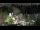 Webcam in Bellevue, Washington, 19.3 km entfernt