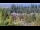 Webcam in Bellevue, Washington, 42.1 mi away