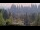 Webcam in Bellevue, Washington, 42.1 mi away