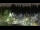 Webcam in Bellevue, Washington, 25.4 km