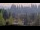 Webcam in Bellevue, Washington, 31.8 mi away