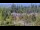Webcam in Bellevue, Washington, 42.1 mi away