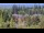 Webcam in Bellevue, Washington, 159.7 km
