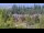 Webcam in Bellevue, Washington, 109 km