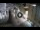 Webcam in Split, 0.2 km entfernt