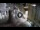Webcam in Split, 0.4 km