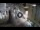 Webcam in Split, 0.4 mi away