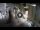 Webcam in Split, 0.1 mi away