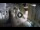Webcam in Split, 5.4 mi away