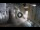Webcam in Split, 0.5 km