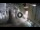 Webcam in Dividir, 0.5 km