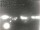 Webcam in Vilshofen, 15.8 mi away