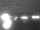 Webcam in Vilshofen, 8.5 mi away