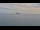 Webcam in Benidorm, 0.3 mi away