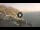 Webcam in Praiano, 5 mi away