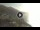 Webcam in Praiano, 4.4 km entfernt