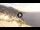 Webcam in Praiano, 0.6 mi away