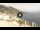 Webcam in Praiano, 1.7 mi away
